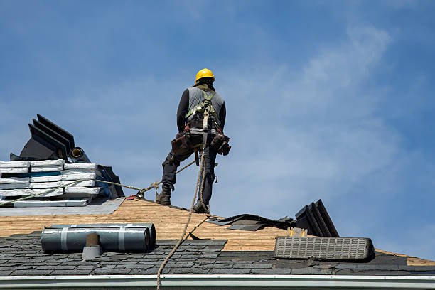 Professional Storm Damage Roof Repair technician working in Clinton, MN